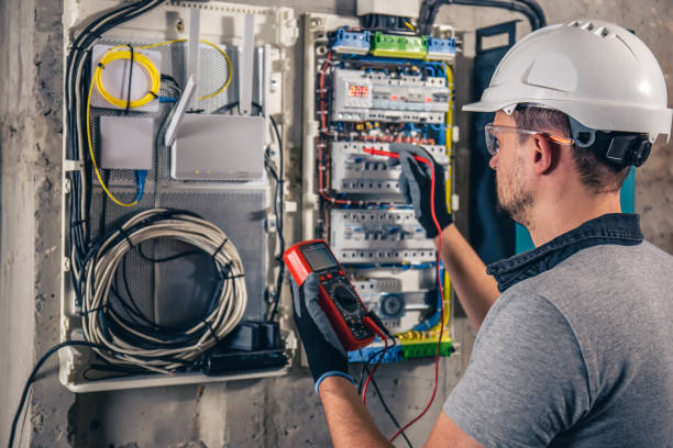 Best Electric Panel Repair  in Ida Grove, IA